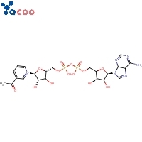 3-Acetylpyridine adenine dinucleotide, reduced form