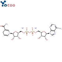 Beta-Nicotinamide adenine dinucleotide disodium salt