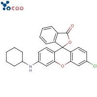 3'-chloro-6'-(cyclohexylamino)spiro[2-benzofuran-3,9'-xanthene]-1-one