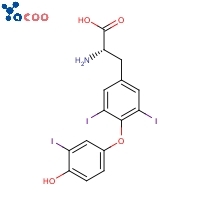 3,3′,5-Triiodo-L-thyronine