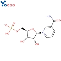 NMN CAS:1094-61-7 β-Nicotinamid-mononucleotide